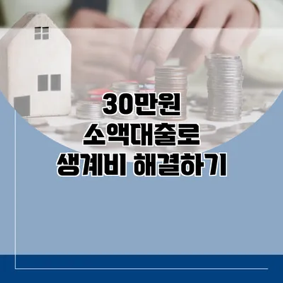 30만원 소액대출로 생계비 해결하기
