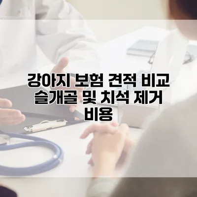 강아지 보험 견적 비교 슬개골 및 치석 제거 비용
