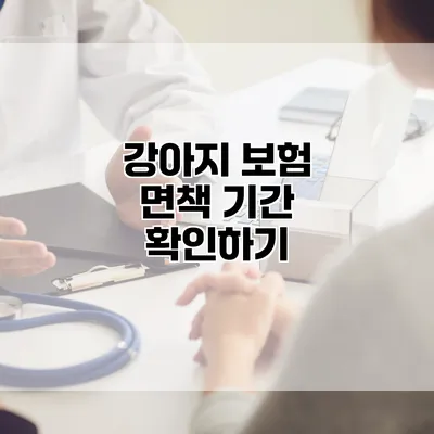 강아지 보험 면책 기간 확인하기