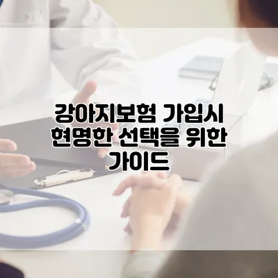 강아지보험 가입시 현명한 선택을 위한 가이드