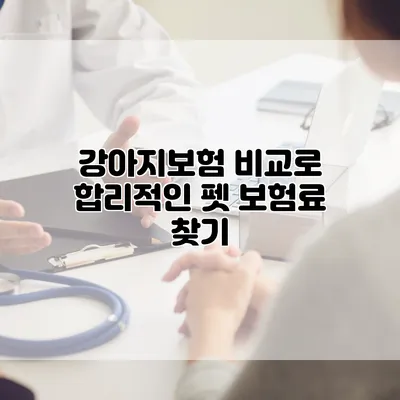 강아지보험 비교로 합리적인 펫 보험료 찾기