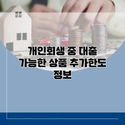 개인회생 중 대출 가능한 상품 추가한도 정보