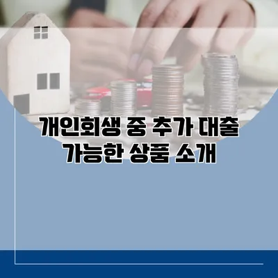 개인회생 중 추가 대출 가능한 상품 소개