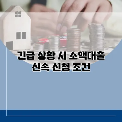 긴급 상황 시 소액대출 신속 신청 조건