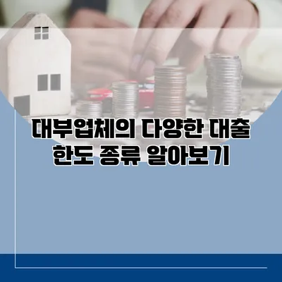 대부업체의 다양한 대출 한도 종류 알아보기
