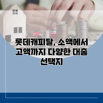 롯데캐피탈, 소액에서 고액까지 다양한 대출 선택지