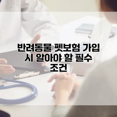 반려동물 펫보험 가입 시 알아야 할 필수 조건