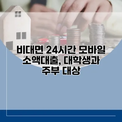 비대면 24시간 모바일 소액대출, 대학생과 주부 대상