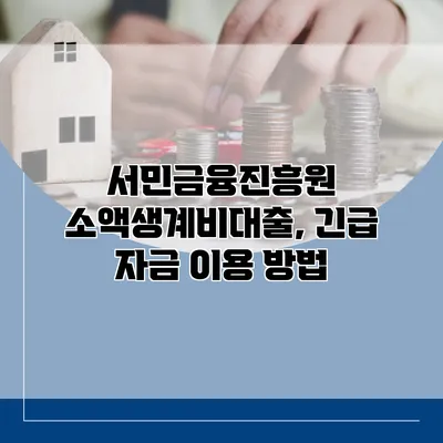 서민금융진흥원 소액생계비대출, 긴급 자금 이용 방법