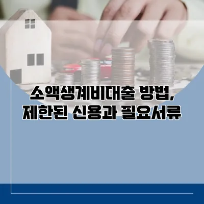 소액생계비대출 방법, 제한된 신용과 필요서류