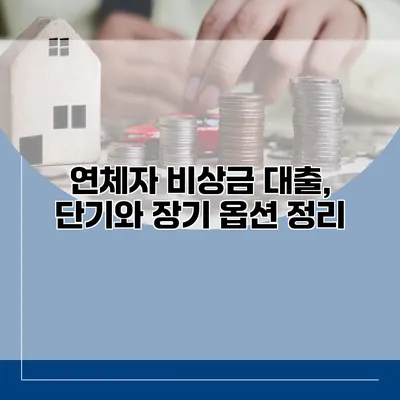 연체자 비상금 대출, 단기와 장기 옵션 정리