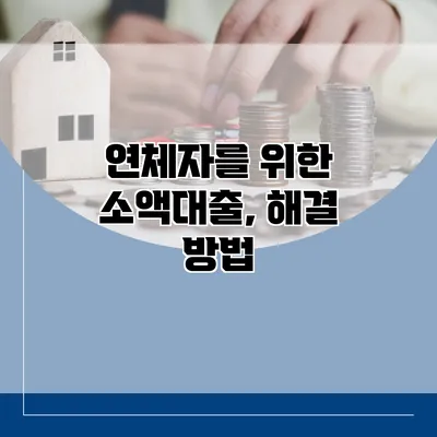 연체자를 위한 소액대출, 해결 방법