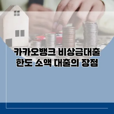 카카오뱅크 비상금대출 한도 소액 대출의 장점