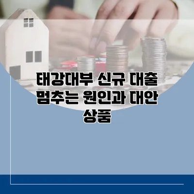 태강대부 신규 대출 멈추는 원인과 대안 상품