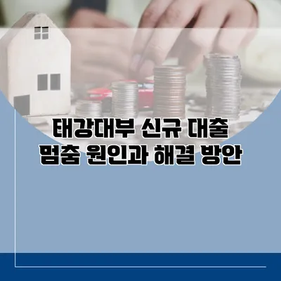 태강대부 신규 대출 멈춤 원인과 해결 방안