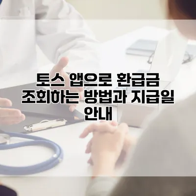 토스 앱으로 환급금 조회하는 방법과 지급일 안내