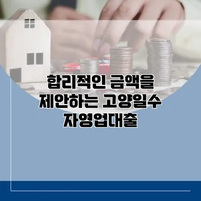 합리적인 금액을 제안하는 고양일수 자영업대출