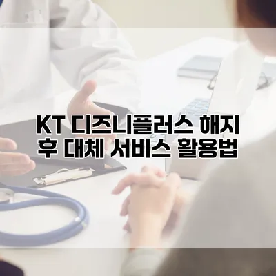 KT 디즈니플러스 해지 후 대체 서비스 활용법