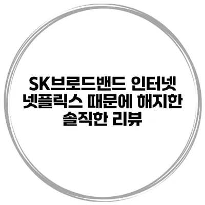 SK브로드밴드 인터넷 넷플릭스 때문에 해지한 솔직한 리뷰