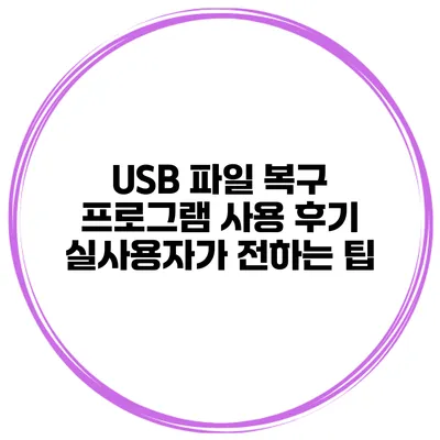 USB 파일 복구 프로그램 사용 후기 실사용자가 전하는 팁
