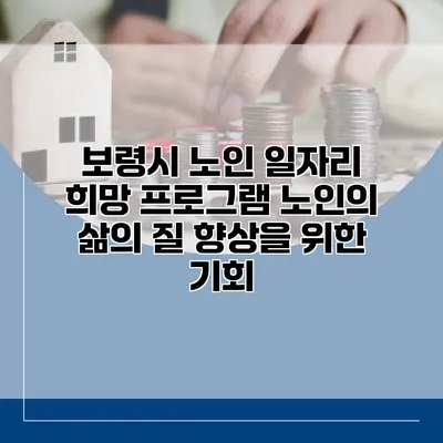 보령시 노인 일자리 희망 프로그램: 노인의 삶의 질 향상을 위한 기회