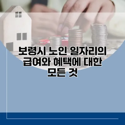 보령시 노인 일자리의 급여와 혜택에 대한 모든 것