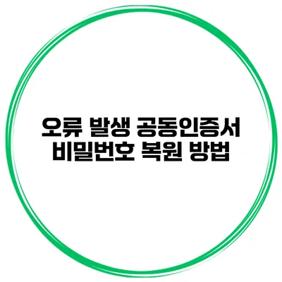 오류 발생 공동인증서 비밀번호 복원 방법