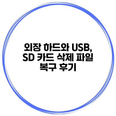 외장 하드와 USB, SD 카드 삭제 파일 복구 후기