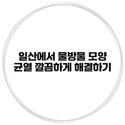 일산에서 물방울 모양 균열 깔끔하게 해결하기