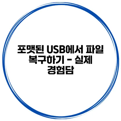 포맷된 USB에서 파일 복구하기 - 실제 경험담